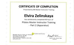 Certificate-Zelinskaya